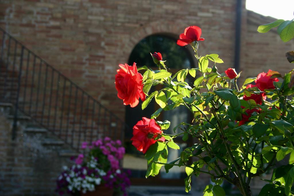 Fattoria Armena Buonconvento Exterior foto